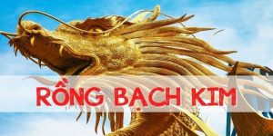 Rồng Bạch Kim - Bí Quyết Dự Đoán Xổ Số Chính Xác Nhất