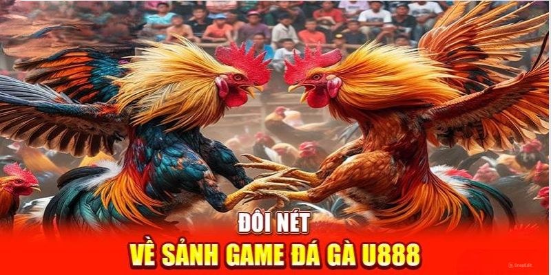 Đá gà U888 là sảnh cược đang được yêu thích nhất