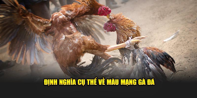 Định nghĩa cụ thể về màu mạng gà đá