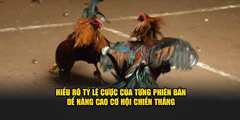 Hiểu rõ tỷ lệ cược của từng phiên bản để nâng cao cơ hội chiến thắng