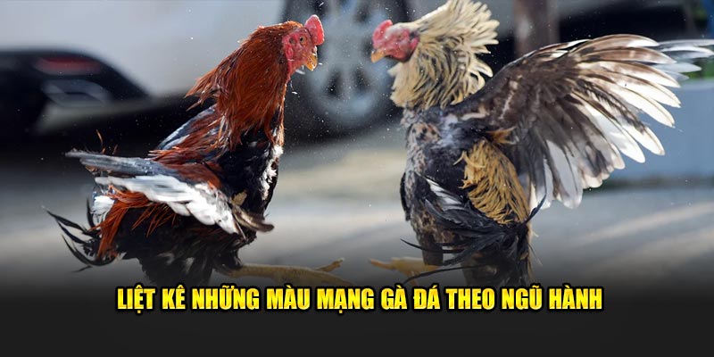 Liệt kê những màu mạng gà đá theo ngũ hành