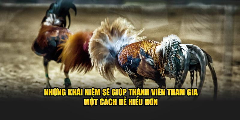 Những khái niệm sẽ giúp thành viên tham gia một cách dễ hiểu hơn