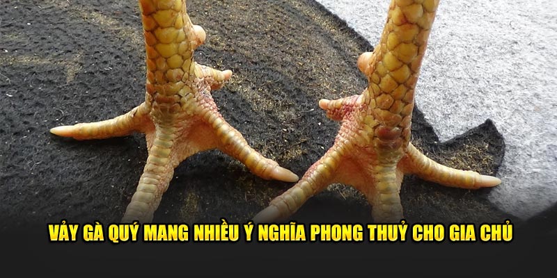 Vảy gà quý mang nhiều ý nghĩa phong thuỷ cho gia chủ